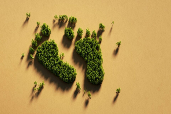 What is a carbon footprint?