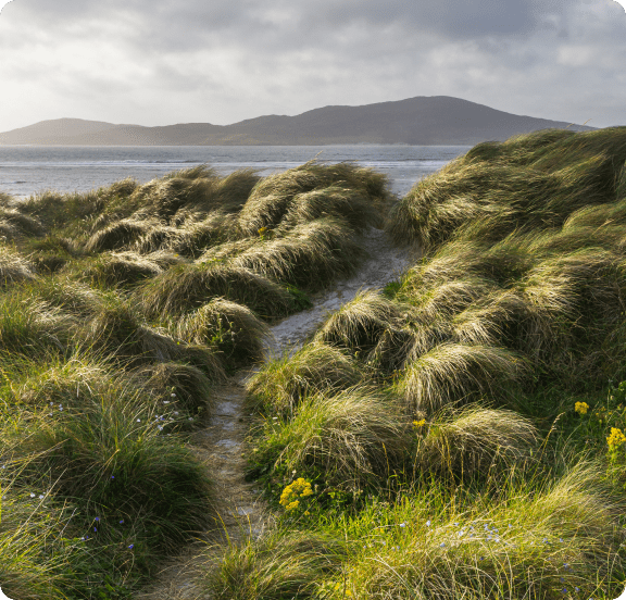 manx-about